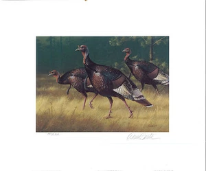 NEW MEXICO #1 1986 TURKEY STAMP PRINT by Daniel Smith NO STAMP GENERIC FOLDER - Picture 1 of 1