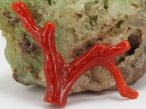Natural Red Coral Polished Rough Stick For Jewelry Making 23X5MM - Picture 1 of 8