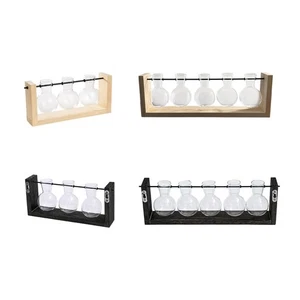 Hydroponic Plant Vases Glass Planter Wall Hanging with Wooden Stand Plant - Picture 1 of 25