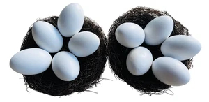 10 huevos de ganso huevos de nido gallinas gallinas ponedoras huevo de cerámica huevos de yeso huevo de nido decoración 60.018 - Imagen 1 de 2