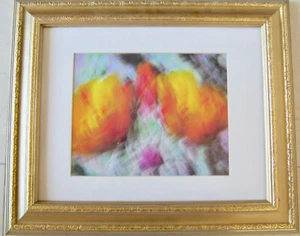 Scott McKay Color Photograph Art Carefree Flowers 14 x 16 Inch Gold Wood Frame - Picture 1 of 2