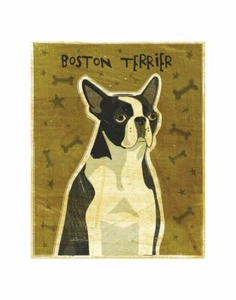 Boston Terrier, John W Golden, Art Print Poster 14" x 11" 979 - Picture 1 of 1