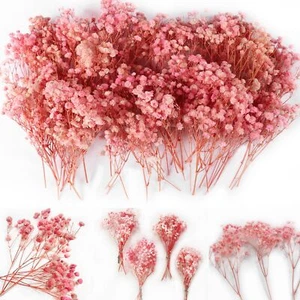 70 PCS Mini Pink Dried Baby’s Breath Flowers 6" for Resin Crafts DIY Decor - Picture 1 of 6