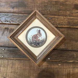 Hase Kaninchen Hängebild Natur Wald Kay Lamm Shannon 9x9 gerahmt - Bild 1 von 5