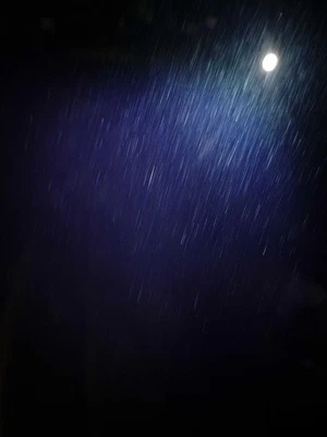 Used Rear Left Door Assembly Rear Side fits: 2015 Lincoln Navigator electric pri - Image 1 of 4