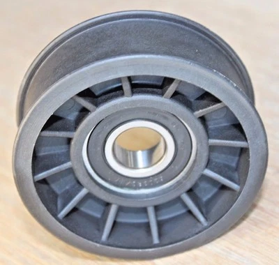 Polea loca Premium nueva 89003 38006 compatible con Saturn Vue 2004-2010 repuesto original   Foto 1 de 4