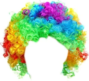UNISEX FANCY DRESS COSTUME SUPPORTERS PARTY RAINBOW CLOWN 70s AFRO SYNTHETIC WIG - Picture 1 of 4
