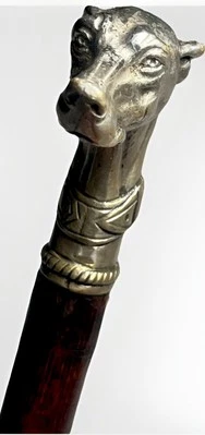 Antique 1890 Silver Greyhound Dog Walking Stick Cane Rare Germany Whippet Bamboo - Image 1 of 4