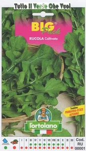Roquette Coltivata-Big Pack - Pépins Orticoli - Picture 1 of 1