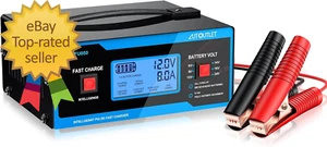 Upgraded 8 Volt Battery Charger for Golf Cart Automotive Battery Charger and Mai - Picture 1 of 12