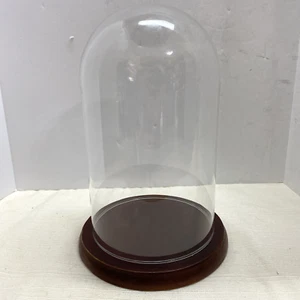 5” x 8” Tall Clear glass Cloche Dome Jar With Wood Base Display Stand @108 - Picture 1 of 5