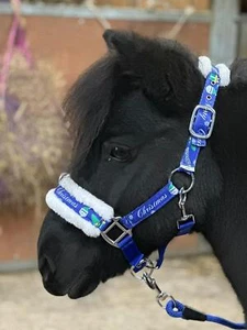 Horse Headcollar Lead Rope Set with Christmas Print Blue Full-Mini Shetland - Picture 1 of 3