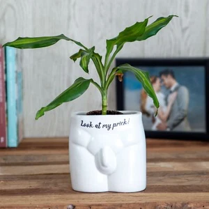 Always Look At My Pr*ck Novelty Body Shaped Plant Pot | Funny Home Décor Gift - Picture 1 of 5