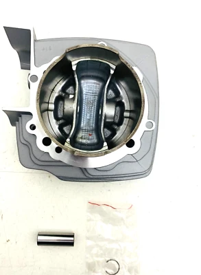 CILINDRO DUCATI HYPERMOTARD MULTISTRADA 1100 VERTICALE CYLINDER 12021462AB - Immagine 1 di 4