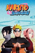 Naruto + Naruto Shippuden Complete Series Anime English DVD