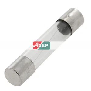 A● 100 Pcs Glass Fuse 6 mm x 30mm 2 Amp 250 Volts Quick Fast Blow - Bild 1 von 4