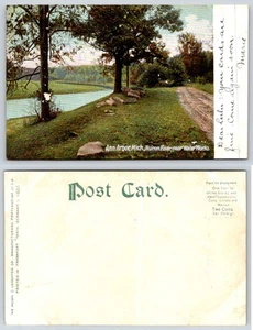 Ann Arbor Michigan HURON RIVER NEAR WATER WORKS Postcard X483 - Picture 1 of 1