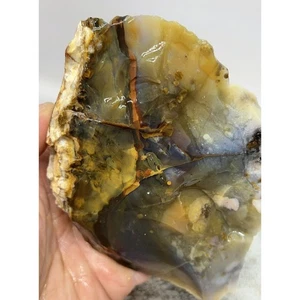 1lb 15oz Polka Dot Agate. Madras Oregon Lapidary Rough For Cabbing #06 - Picture 1 of 9