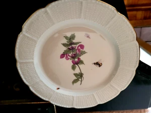 Original Nymphenburg Porzellan Teller Blumen handgemalt Rudolf Sieck - Picture 1 of 8