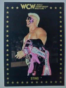 1991 Championship Marketing WCW #1 STING - Picture 1 of 2