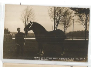 RPPC PRAIRIE VIEW STOCK FARM NEW CARLISLE INDIANA POSSIBLE HORSE RACING TROTTER - Picture 1 of 1