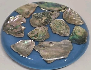  Placa caliente de remache de carcasa de abulón Lucite con etiqueta de lámina original New Designs Inc. - Imagen 1 de 5