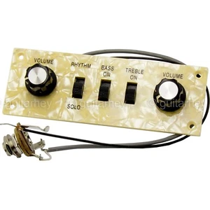 NEW Wired Control Plate for Hofner Style Violin Bass Pearloid Control Panel - Picture 1 of 3