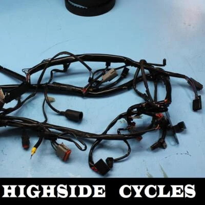 1419 02 HARLEY-DAVIDSON SOFTAIL ARNÉS DE CABLE PRINCIPAL TELAR FATBOY EFI  Foto 1 de 4