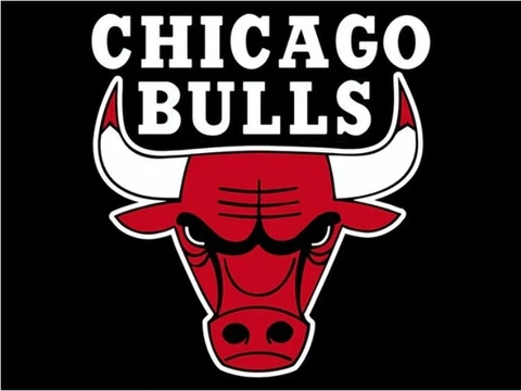 Chicago Bulls Flag 3x5ft Banner Polyester basketball World Series Bulls008 Cover