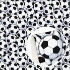 Soccer Balls FAUX LEATHER SHEET 8.75" x 12" WHOLESALE 1131832 Football SMOOTH