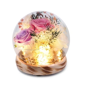 Gifts for Women Preserved Real Flowers,Preserved Roses with Hydrangea and LED... - Picture 1 of 7