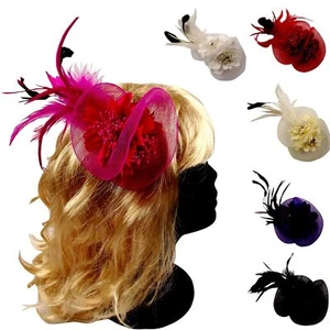 Netted Double Flower with Diamante Head Piece Hair Band Clip Fancy Dress - Picture 1 of 7