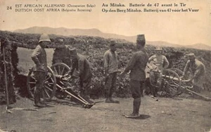 Tansania - Ostafrikafeldzug (Erster Weltkrieg) - Belgische 47mm Artilleriegeschütze in - Bild 1 von 2