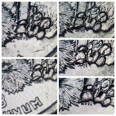 Arizona X-leaf 5-Quarter AZ P & D decent reeds Ungraded/circulated Error coins - Image 1 of 4