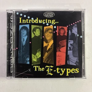E-TYPES - Introducing The E-types - CD - **Excellent Condition** - Imagen 1 de 2