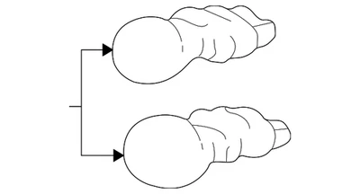 Genuine Ford Bulb F6DZ-13466-FA Foto 1 de 4