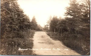 Cartolina d'epoca foto reale ME RPPC Roadway to Hotel Permaquid Point non spedita - Foto 1 di 2