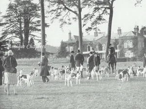 Vine Hunt Opening Meet Ewhurst Park Basingstoke 1929 Photo Article K564 - Picture 1 of 2