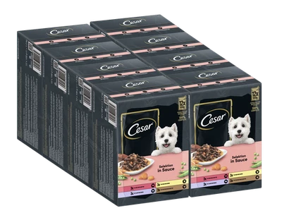 96x100g Cesar Hundefutter Nassfutter Selektion in Sauce Fleisch Gemüse Beutel - Bild 1 von 4
