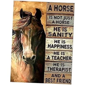 Diamond Painting Kits for Adults and Kids Horse Diamonds Art Paint with - Picture 1 of 8