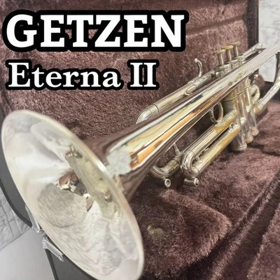 Custodia rigida per tromba GETZEN Eterna II - Immagine 1 di 4
