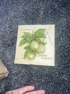 Vintage Marks And Spencer 3 D Hand Painted Wall Plaque Blackberry Fruits - Picture 1 of 5