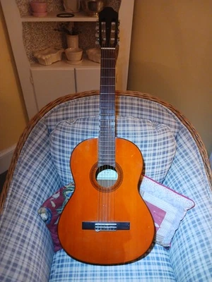 Классическая акустическая гитара Yamaha Eterna EC-18 с жестким чехлом - Изображение 1 из 4