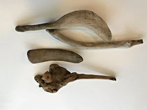 Lot of 4 Driftwood Pieces 5"-9" Long Decor Collectible Terrarium  - Bild 1 von 1