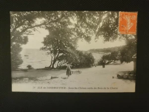 CPA 85 Ile de NOIRMOUTIER - Sous les Chênes verts du Bois de la Chaise - Imagen 1 de 2