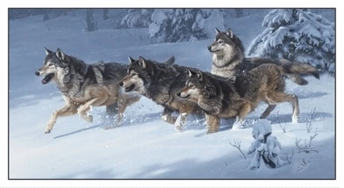 Canis Lupus Wild Wolf Pack Correr en la Nieve 24x44 Panel de Tela de Algodón Foto 1 de 1