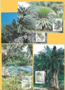 CHINA 1996 - MAXI CARD FDC's - CYCADS - Set of 4 - Fdi Handstamp - Picture 1 of 2