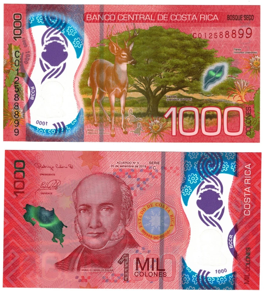 2019 Costa Rica 1000 Colones Polymer UNC Banknote P280 - Image 1 of 1