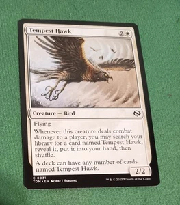 MTG - Tempest Hawk - Tarkir Dragonstorm - #31 - Bild 1 von 3