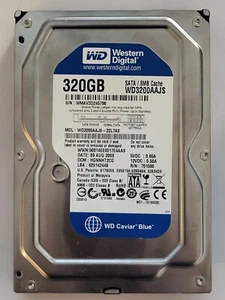 WD3200AAJS-22L7A0, DCM: HGNNHT2CG, AUG 2009, Western Digital 320Gb 3.5" Sata HDD - Imagen 1 de 2